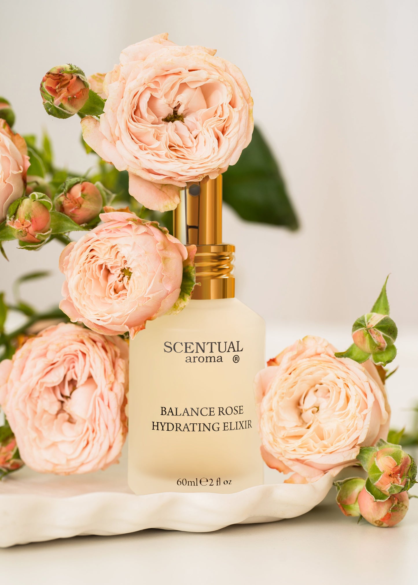 BALANCE Rose Hydrating Elixir