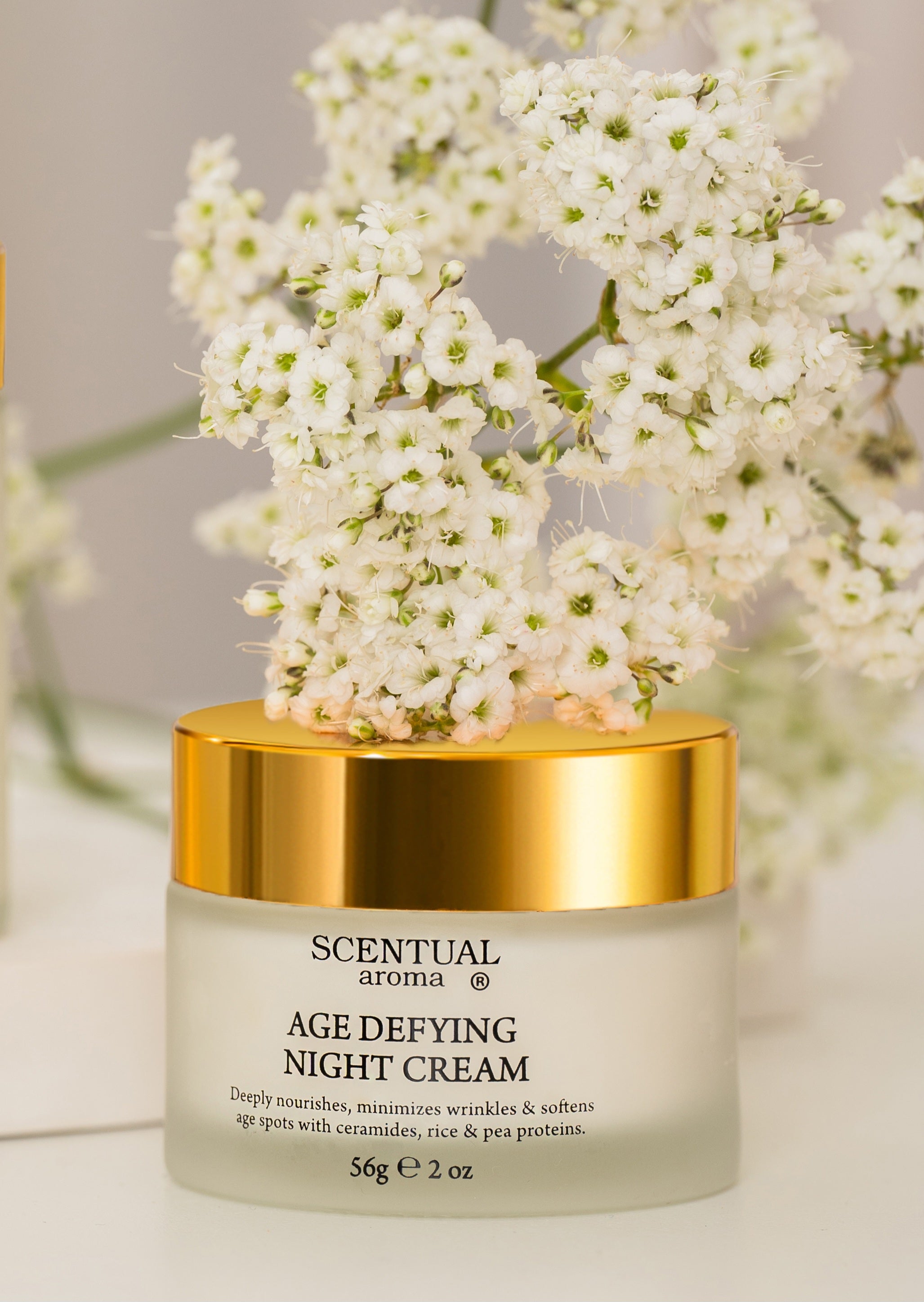 AGE DEFYING Night Cream - SCENTUAL AROMA® – SCENTUAL AROMA®